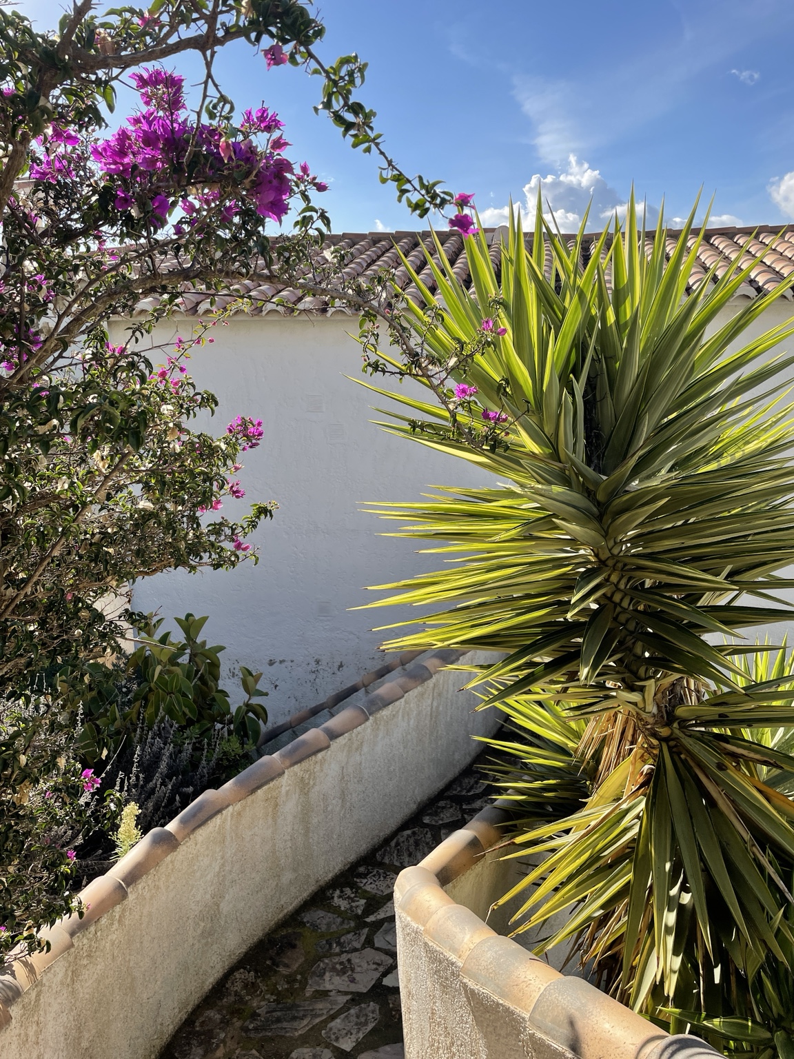 Casa Vista del Sol – Garten und Bougainvillea